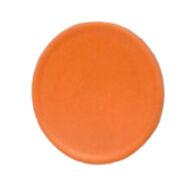 Allen-Bradley 800FAF0 Flush Cap for Push Button