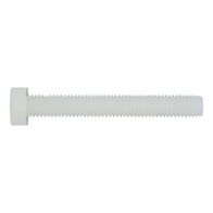 Hexagonal Bolt ISO 4017 | M3 x 6mm | Natural Polyamide 6.6 | RoHS Compliant | @Pack of 1000 | by Wurth