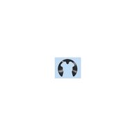 Lock Washer for Shafts DIN 6799 | Phosphated Steel | Corrosion Resistant | RoHS Compliant | @Pack of 25 | by Wurth