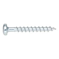 ASSY® D Plug Screw Pan Head | Zinc Plated | 5mm Diameter | Self-Drilling Alternative | @Pack of 50 | by Wurth