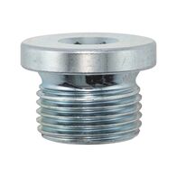 Oil drain plug