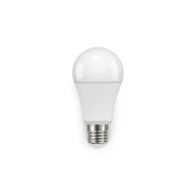 A60 11W LED LAMP E27 WW NON-DIM FROSTED