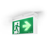 Ektor Lynk Mercury Dynamic emergency exit light w/wireless