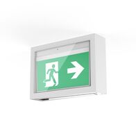 Mercury vandal resistant case - surface mount