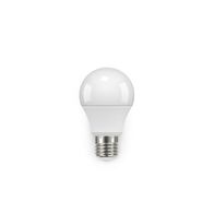 A60 6W LED LAMP E27 CW NON-DIM FROSTED