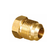 Male Flare Plug 5/16 MSAE