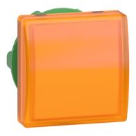 Pilot Light Head