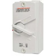 2 pole 20 A Isolator Large