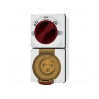 Combination Switched Socket IP66 20A 250V ac 3 Round Pin Chemical Resistant White
