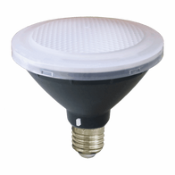 KEY PAR30-12 E27 / DIM / FROSTED