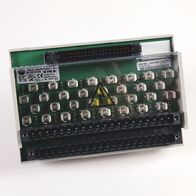 AB IFM DIGITAL 40PIN FUSIBLE 24V AC/DC OUT-2/PT-BLOWN RTB