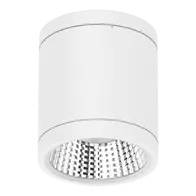 Neo-Pro Surface Mount DALI LED Downlight 13W IP65 White Domus