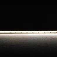 Plex-COB-5 LED Strip 24V IP54 CRI90 4000K 50m Roll Domus
