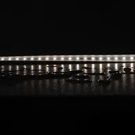 Plex-SMD LED Strip 5W/m 24V IP66 CRI90 5000K 50m Roll Domus