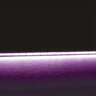 Plex-Vivid COB LED Strip 15W/m 24V IP54 Purple Per Metre Domus