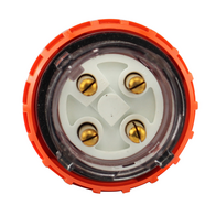 Plug 4 Pin