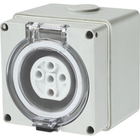 5 Pin 10A Socket