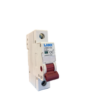 Single Phase 100A Main Switch