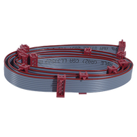 TERRA DC Distribution Cable - 12 Connectors