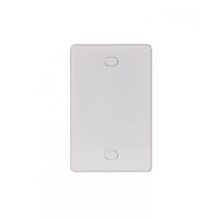 Blank Switch Plate & Cover  x10 - PUSWPVXGVP