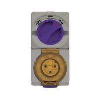 Buffalo -u00a0Combination Switched Socket IP66 20A 250V 3 Round Pin Chemical Resistant Grey  x1 - BUC320RG