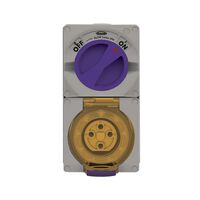 Buffalo -u00a0Combination Switched Socket IP66 20A 500V 4 Pin Chemical Resistant Grey  x1 - BUC420RG