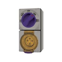 Buffalo -u00a0Combination Switched Socket IP66 20A 500V 4 Pin Chemical Resistant Grey  x1 - BUC420RG