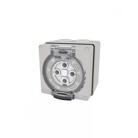 Buffalo -u00a0Socket IP66 40A 500V~ 4 Pin  x1 - BUSO440