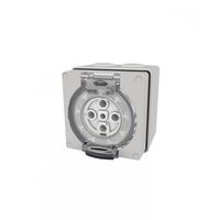 Buffalo -u00a0Socket IP66 50A 500V~ 5 Pin  x1 - BUSO550