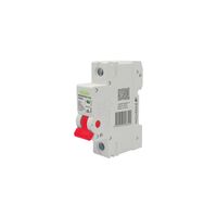 Wolverine -u00a0Main Switch 1 Pole 100A 230V 240V 1 Module  x12 - WOMSW1100