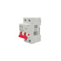 Wolverine -u00a0Main Switch 2 Pole 100A 400V 415V ac 2 Module  x6 - WOMSW2100