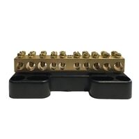 Neutral Link 10 Hole