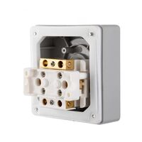 Isolation Switch 1 Pole 50A IP66