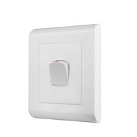 Switch 1 Gang Large Dolly Large Format