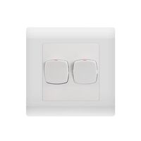 Switch 2 Gang Large Dolly Large Format