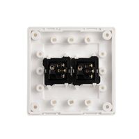 Switch 2 Gang Large Dolly Large Format