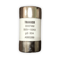 Fuse Link 80A 500V