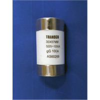 Fuse Link 100A 500V