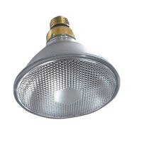 PAR38 E27 150W - LP/PAR38150W