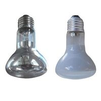 R80 E27 Frosted 75W - LP/RFES75W/F