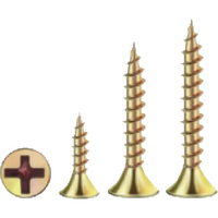 Drywall Screws 7-18x25mm HANG PACK (100pcs) - DWZD0725