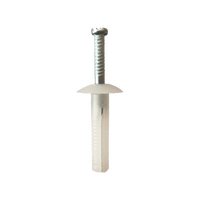Nylon Nail-In Anchor 6.5mmx25mm 100pcs - NNAB06525