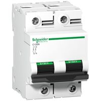 Acti9, Miniature circuit breaker (MCB), C120N, 2P, 100A, C curve, 10000A (IEC/EN 60898-1), 10kA (IEC/EN 60947-2)