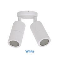 Double Adjustable Spot White