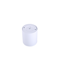 LED Surface Mounted Light White 4K