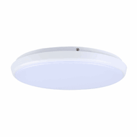 LED Oyster 30w Warm White Round White
