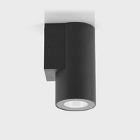 Aries 316 Stainless Steel Black Down LED Wall Light