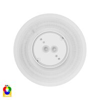 Halo White RGBW LED Wall Light
