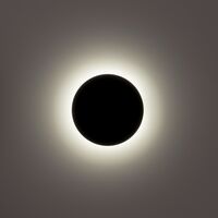 Halo Black TRI Colour LED Wall Light