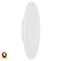 Halo White RGBW LED Wall Light